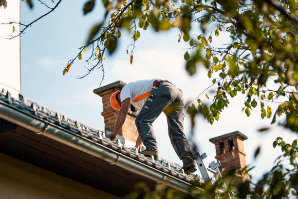 Best Chimney Flashing Repair  in Prestonsburg, KY